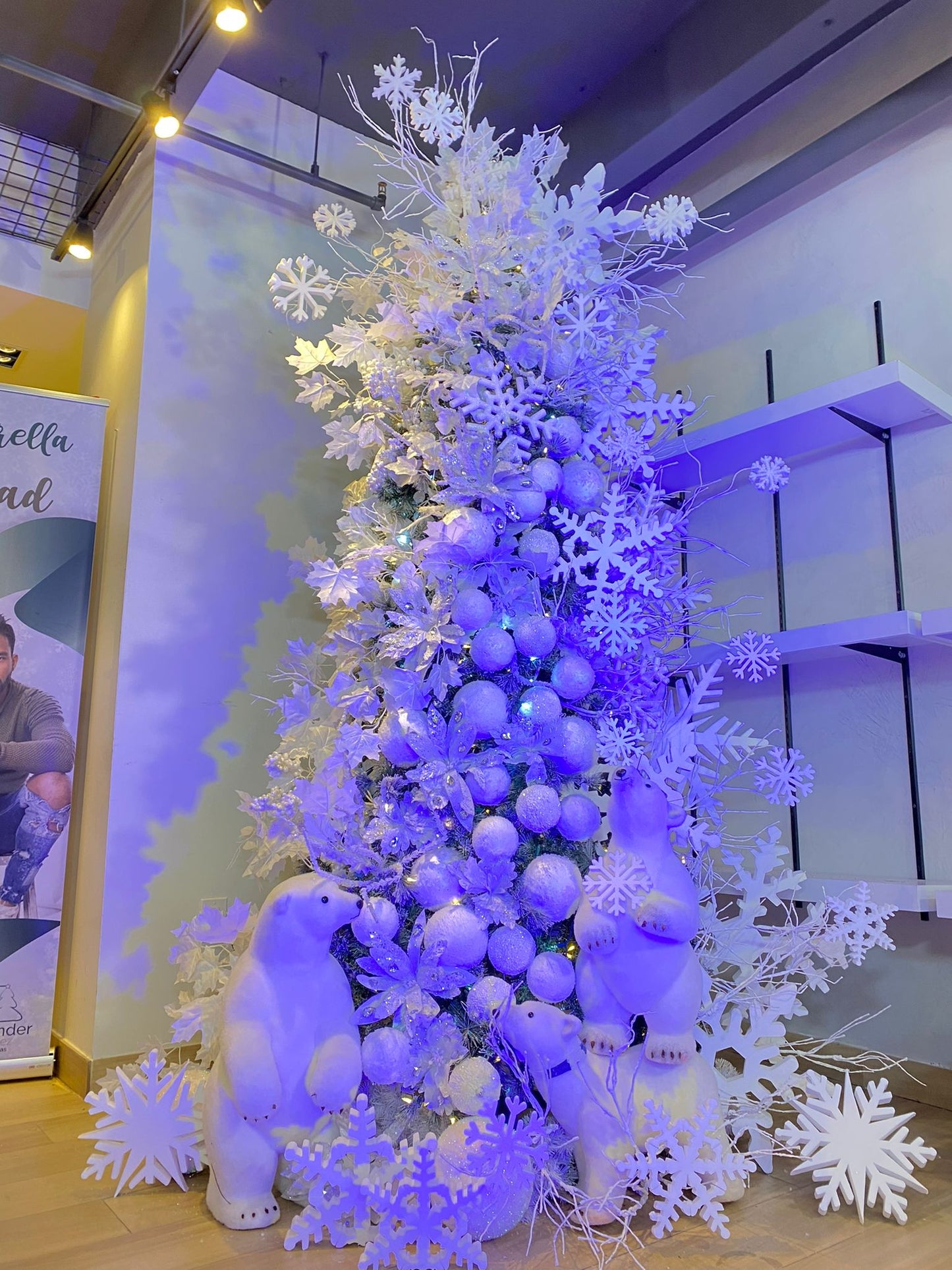 Magical Christmas Masterclass 2021 2